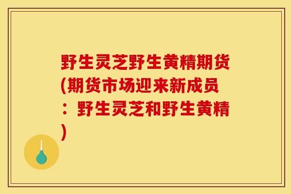 野生灵芝野生黄精期货(期货市场迎来新成员：野生灵芝和野生黄精)
