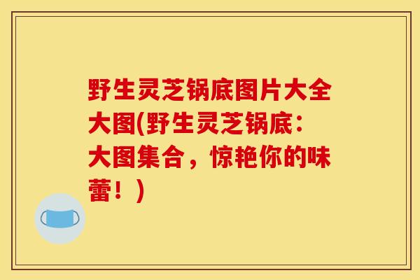 野生灵芝锅底图片大全大图(野生灵芝锅底：大图集合，惊艳你的味蕾！)