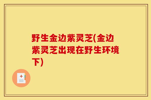 野生金边紫灵芝(金边紫灵芝出现在野生环境下)
