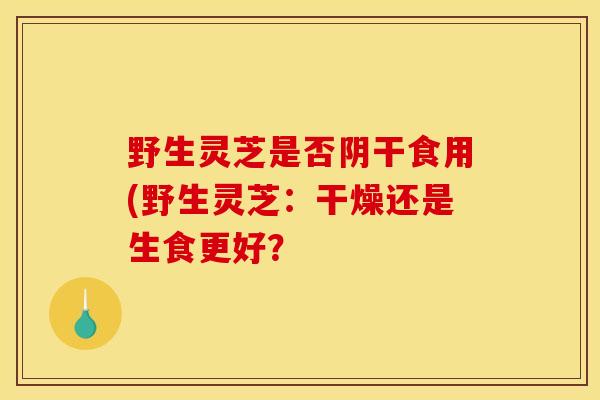 野生灵芝是否阴干食用(野生灵芝：干燥还是生食更好？