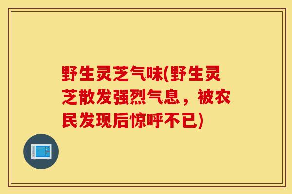 野生灵芝气味(野生灵芝散发强烈气息，被农民发现后惊呼不已)