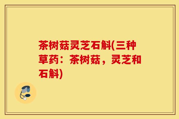 茶树菇灵芝石斛(三种草药：茶树菇，灵芝和石斛)