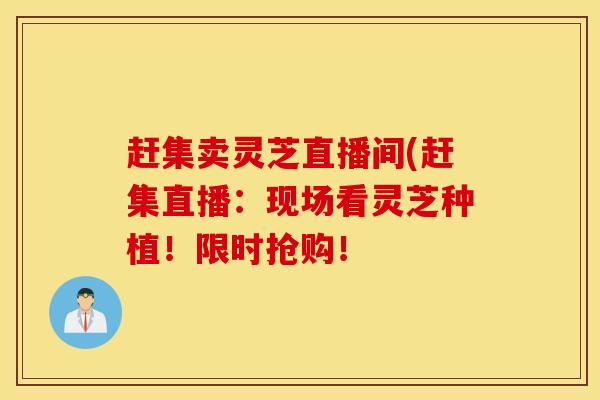赶集卖灵芝直播间(赶集直播：现场看灵芝种植！限时抢购！