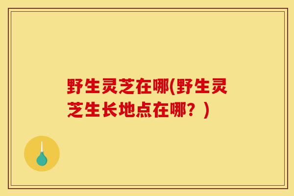 野生灵芝在哪(野生灵芝生长地点在哪？)