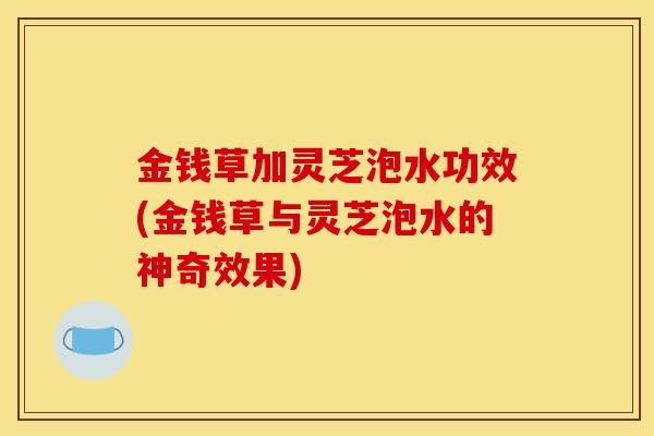 金钱草加灵芝泡水功效(金钱草与灵芝泡水的神奇效果)