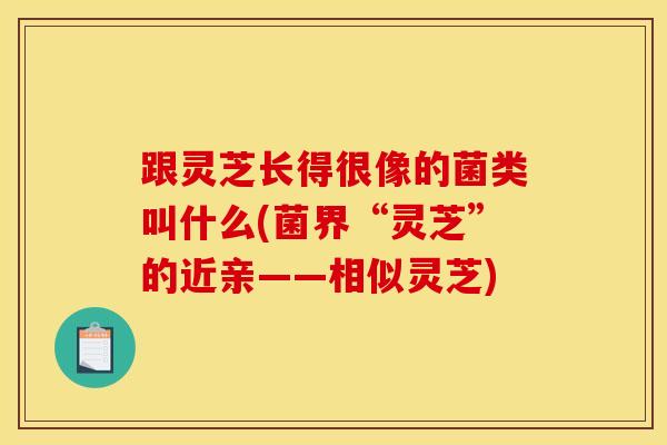 跟灵芝长得很像的菌类叫什么(菌界“灵芝”的近亲——相似灵芝)
