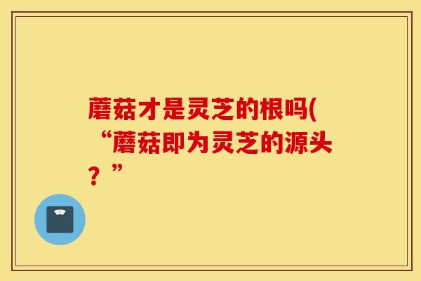 蘑菇才是灵芝的根吗(“蘑菇即为灵芝的源头？”