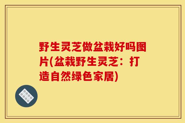 野生灵芝做盆栽好吗图片(盆栽野生灵芝：打造自然绿色家居)