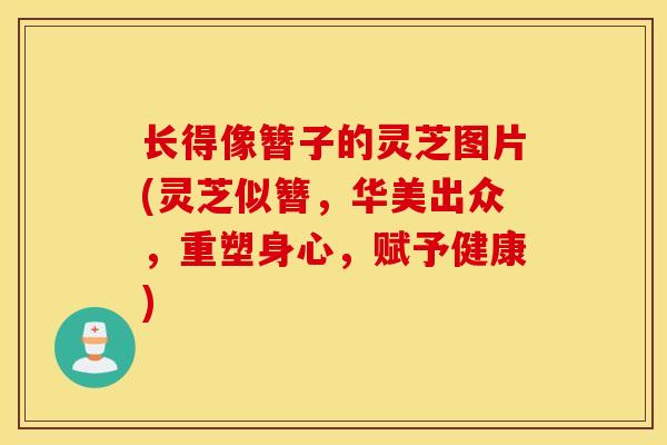 长得像簪子的灵芝图片(灵芝似簪，华美出众，重塑身心，赋予健康)
