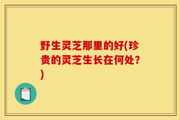 野生灵芝那里的好(珍贵的灵芝生长在何处？)