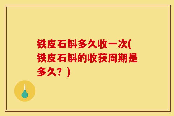 铁皮石斛多久收一次(铁皮石斛的收获周期是多久？)