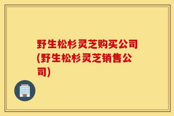 野生松杉灵芝购买公司(野生松杉灵芝销售公司)