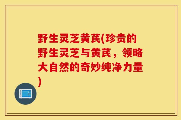 野生灵芝黄芪(珍贵的野生灵芝与黄芪，领略大自然的奇妙纯净力量)