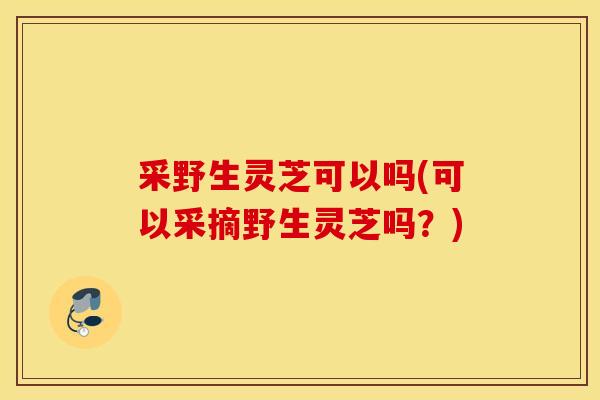 采野生灵芝可以吗(可以采摘野生灵芝吗？)