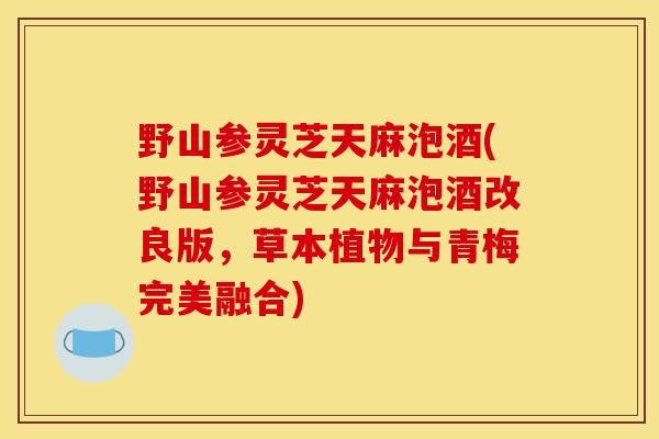 野山参灵芝天麻泡酒(野山参灵芝天麻泡酒改良版，草本植物与青梅完美融合)