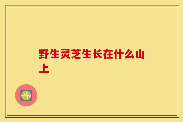 野生灵芝生长在什么山上