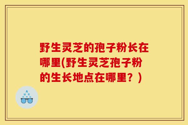 野生灵芝的孢子粉长在哪里(野生灵芝孢子粉的生长地点在哪里？)
