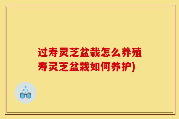 过寿灵芝盆栽怎么养殖寿灵芝盆栽如何养护)
