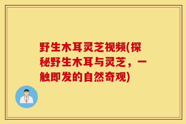 野生木耳灵芝视频(探秘野生木耳与灵芝，一触即发的自然奇观)