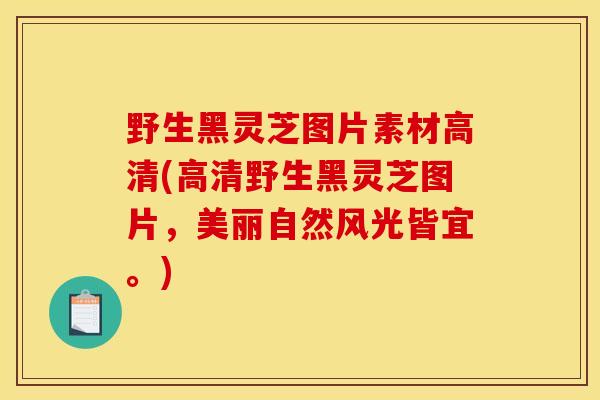 野生黑灵芝图片素材高清(高清野生黑灵芝图片，美丽自然风光皆宜。)