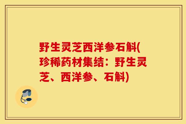 野生灵芝西洋参石斛(珍稀药材集结：野生灵芝、西洋参、石斛)