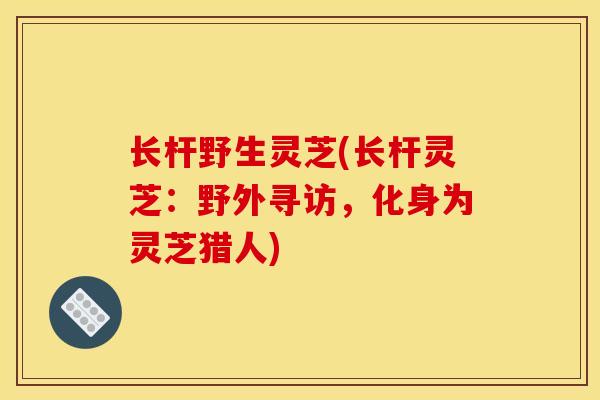 长杆野生灵芝(长杆灵芝：野外寻访，化身为灵芝猎人)