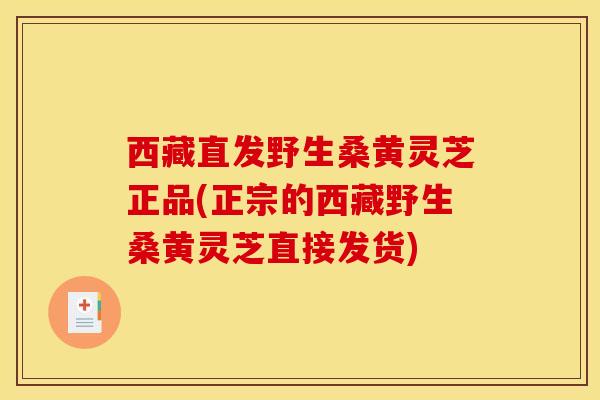西藏直发野生桑黄灵芝正品(正宗的西藏野生桑黄灵芝直接发货)