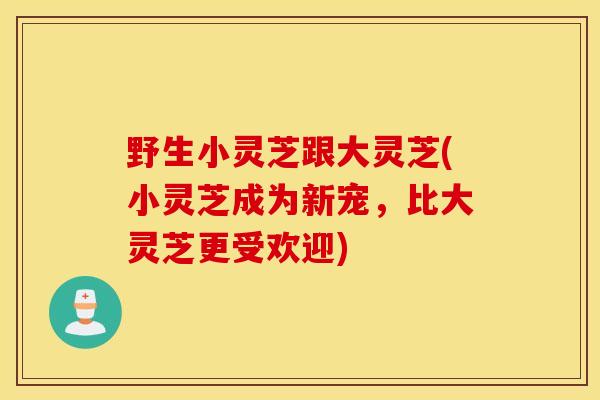 野生小灵芝跟大灵芝(小灵芝成为新宠，比大灵芝更受欢迎)