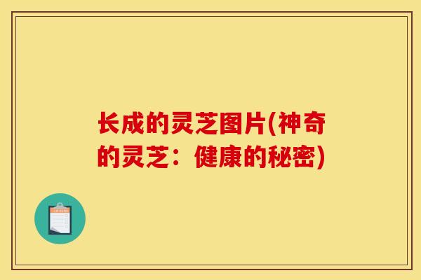 长成的灵芝图片(神奇的灵芝：健康的秘密)