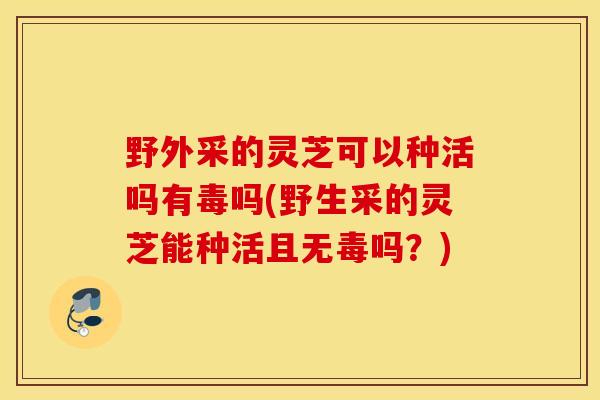 野外采的灵芝可以种活吗有毒吗(野生采的灵芝能种活且无毒吗？)