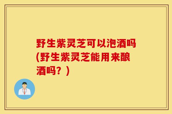 野生紫灵芝可以泡酒吗(野生紫灵芝能用来酿酒吗？)
