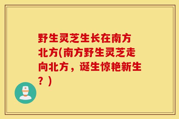 野生灵芝生长在南方 北方(南方野生灵芝走向北方，诞生惊艳新生？)