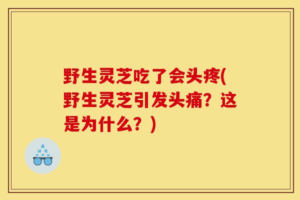 野生灵芝吃了会头疼(野生灵芝引发头痛？这是为什么？)