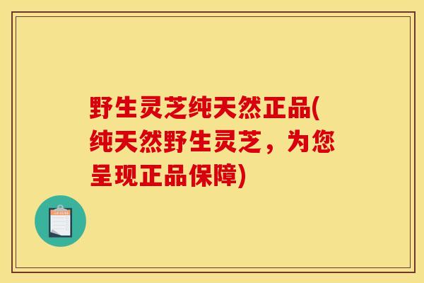 野生灵芝纯天然正品(纯天然野生灵芝，为您呈现正品保障)