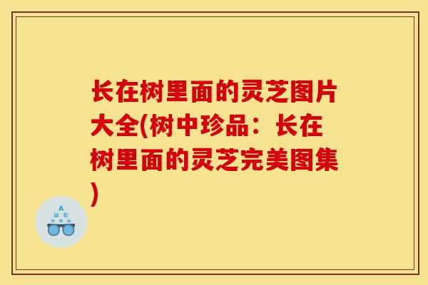 长在树里面的灵芝图片大全(树中珍品：长在树里面的灵芝完美图集)