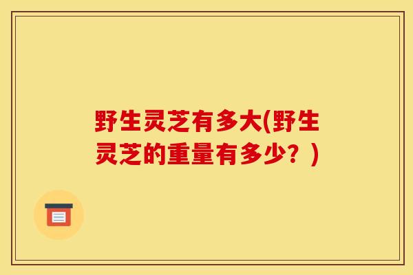 野生灵芝有多大(野生灵芝的重量有多少？)