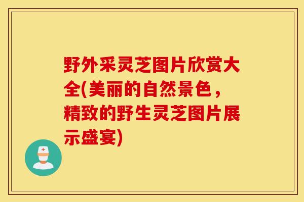 野外采灵芝图片欣赏大全(美丽的自然景色，精致的野生灵芝图片展示盛宴)