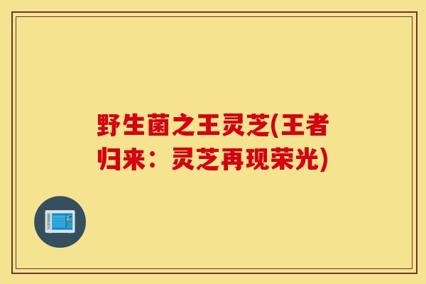 野生菌之王灵芝(王者归来：灵芝再现荣光)