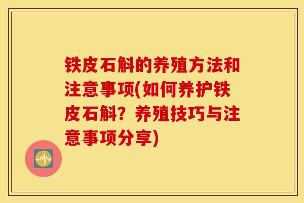 铁皮石斛的养殖方法和注意事项(如何养护铁皮石斛？养殖技巧与注意事项分享)
