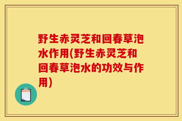 野生赤灵芝和回春草泡水作用(野生赤灵芝和回春草泡水的功效与作用)