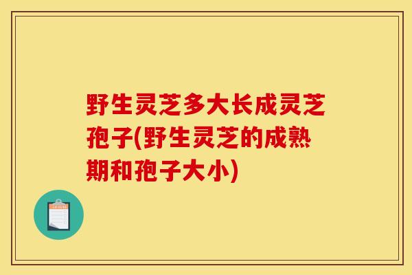 野生灵芝多大长成灵芝孢子(野生灵芝的成熟期和孢子大小)
