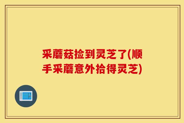 采蘑菇捡到灵芝了(顺手采蘑意外拾得灵芝)