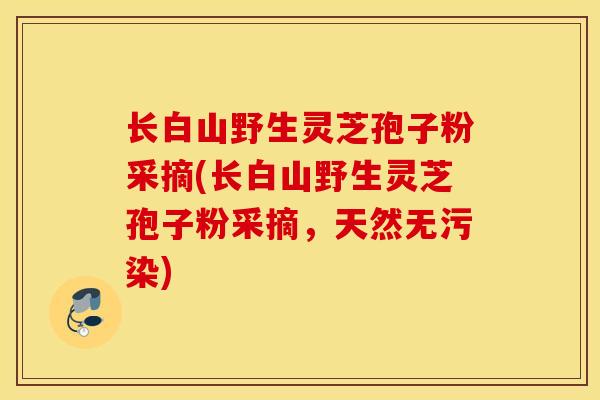 长白山野生灵芝孢子粉采摘(长白山野生灵芝孢子粉采摘，天然无污染)