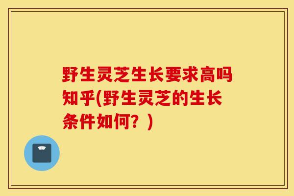 野生灵芝生长要求高吗知乎(野生灵芝的生长条件如何？)
