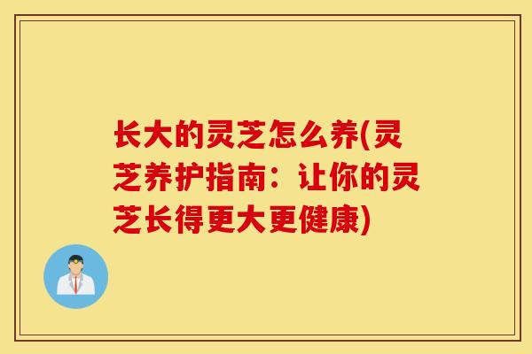 长大的灵芝怎么养(灵芝养护指南：让你的灵芝长得更大更健康)