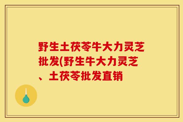 野生土茯苓牛大力灵芝批发(野生牛大力灵芝、土茯苓批发直销