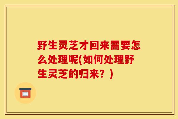 野生灵芝才回来需要怎么处理呢(如何处理野生灵芝的归来？)