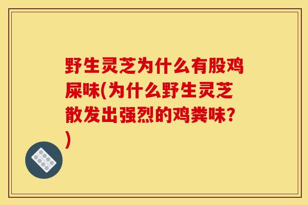 野生灵芝为什么有股鸡屎味(为什么野生灵芝散发出强烈的鸡粪味？)