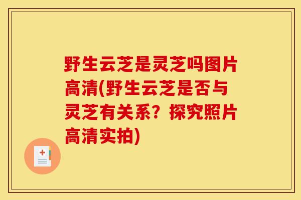 野生云芝是灵芝吗图片高清(野生云芝是否与灵芝有关系？探究照片高清实拍)