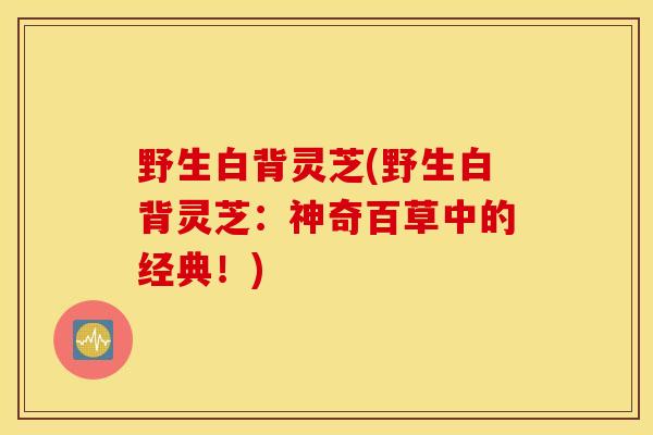 野生白背灵芝(野生白背灵芝：神奇百草中的经典！)